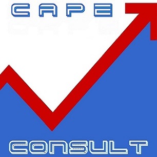 Firmenlogo von CaPe Consult aus Braunfels