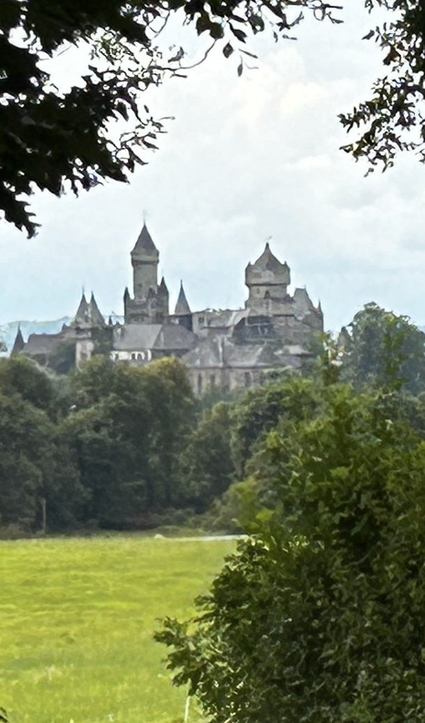 Historisches Schloss Braunfels mit Türmen, umgeben von Bäumen und einer grünen Wiese.